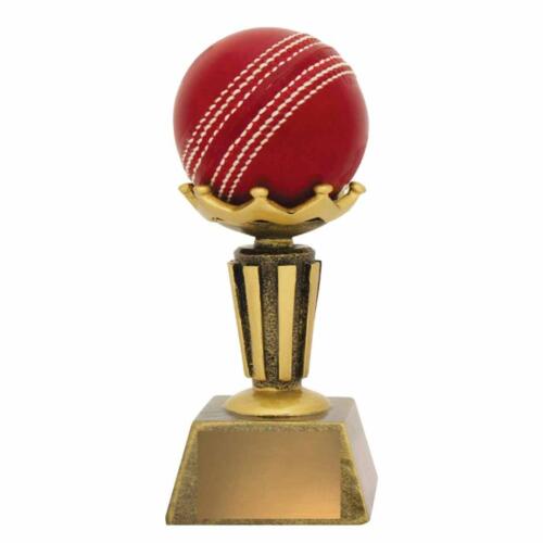 A1005-cricket-ball-holder.jpg